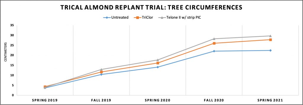 Graph: TriCal Almond Replant Trial (Modesto, Ca)  — Tree Growth Through The Seasons