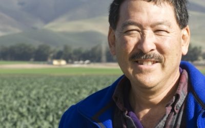 Honoring the Retirement of Steve Koike and His Lasting Impact on Plant Pathology