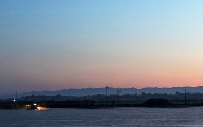 Plasticulture Basics Part 2: Broadcast Film and Barrier Technology in Soil Fumigation