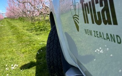 Lessons From New Zealand: Pic-Plus Soil Fumigation in Stone Fruit Orchards